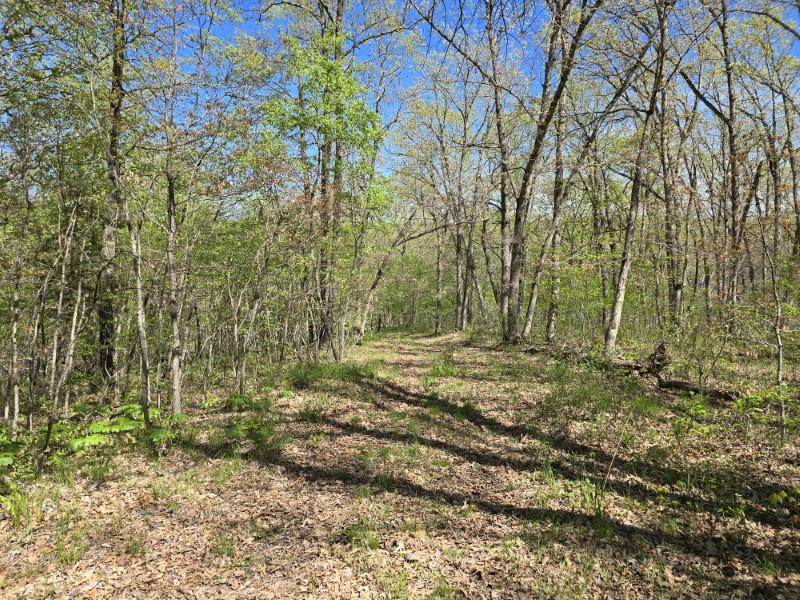 Listing photo 37